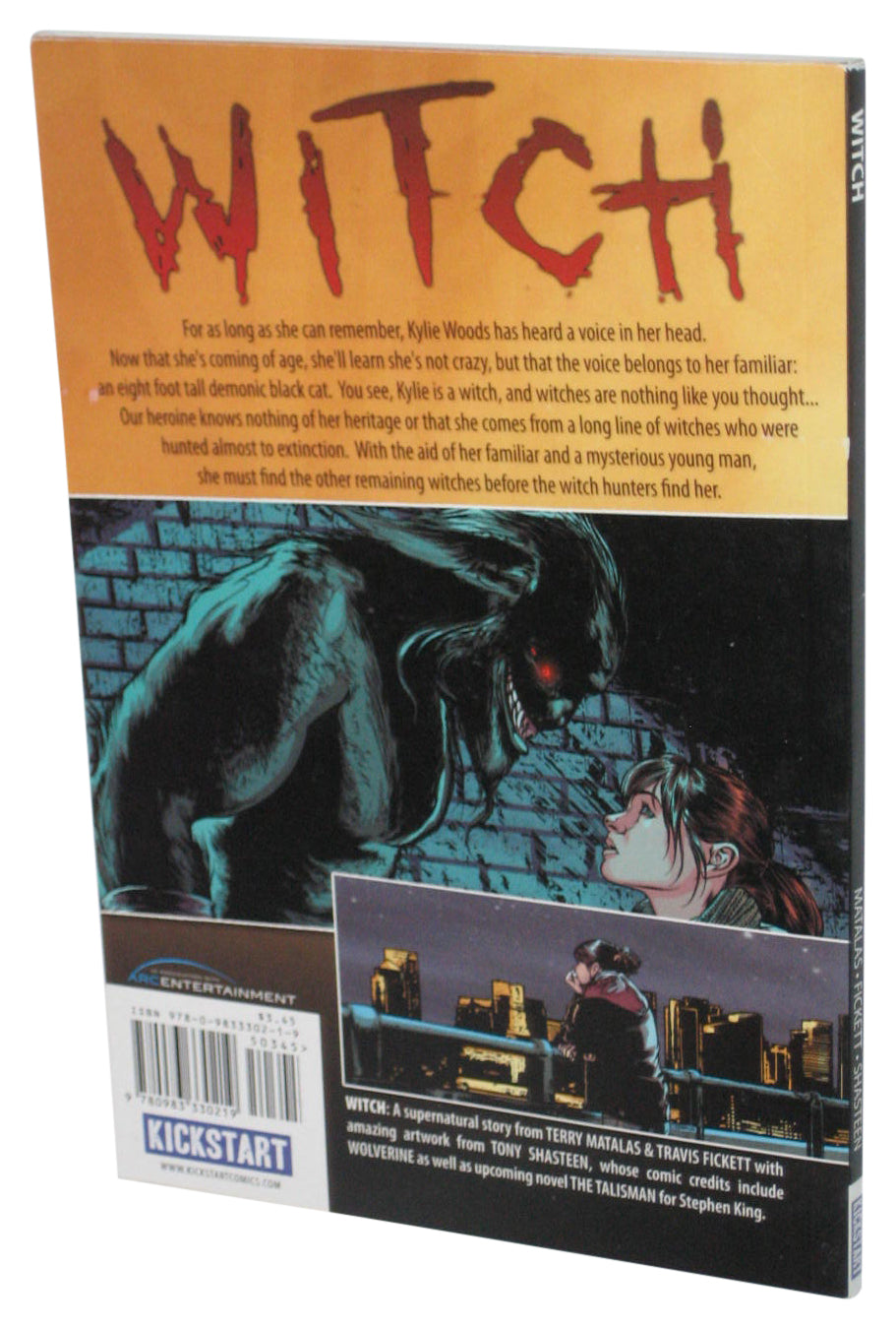 Witch (2011) Paperback Book - (Terry Matalas / Travis Fickett / Tony Shasteen)