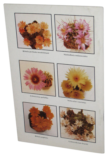 K & L Cactus Nursery Flowering Desert & Jungle Cacti (1984) Paperback Catalog Book