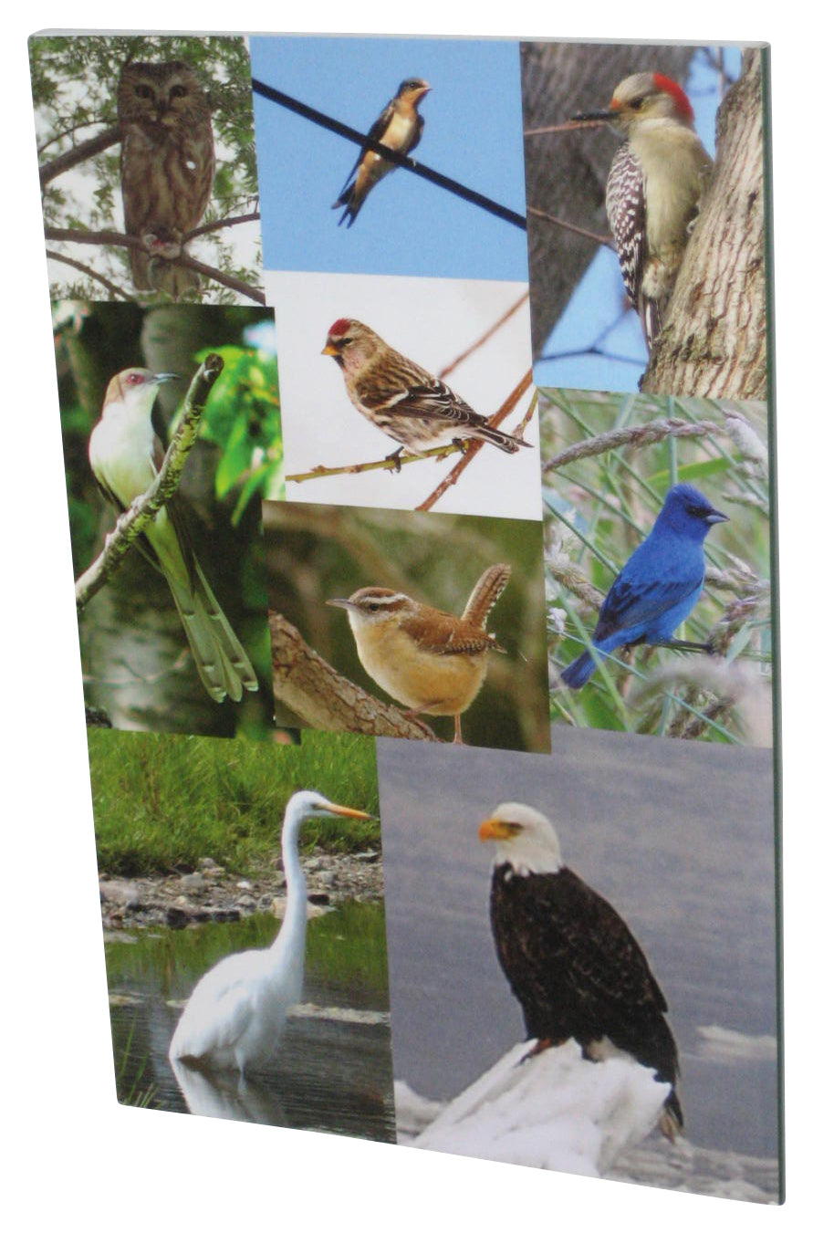 Ralph Waterman Bird Club 50th Anniversary 1958-2008 Paperback Book