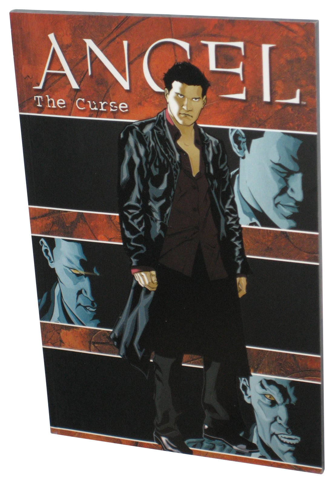 Angel The Curse (2006) IDW Paperback Book