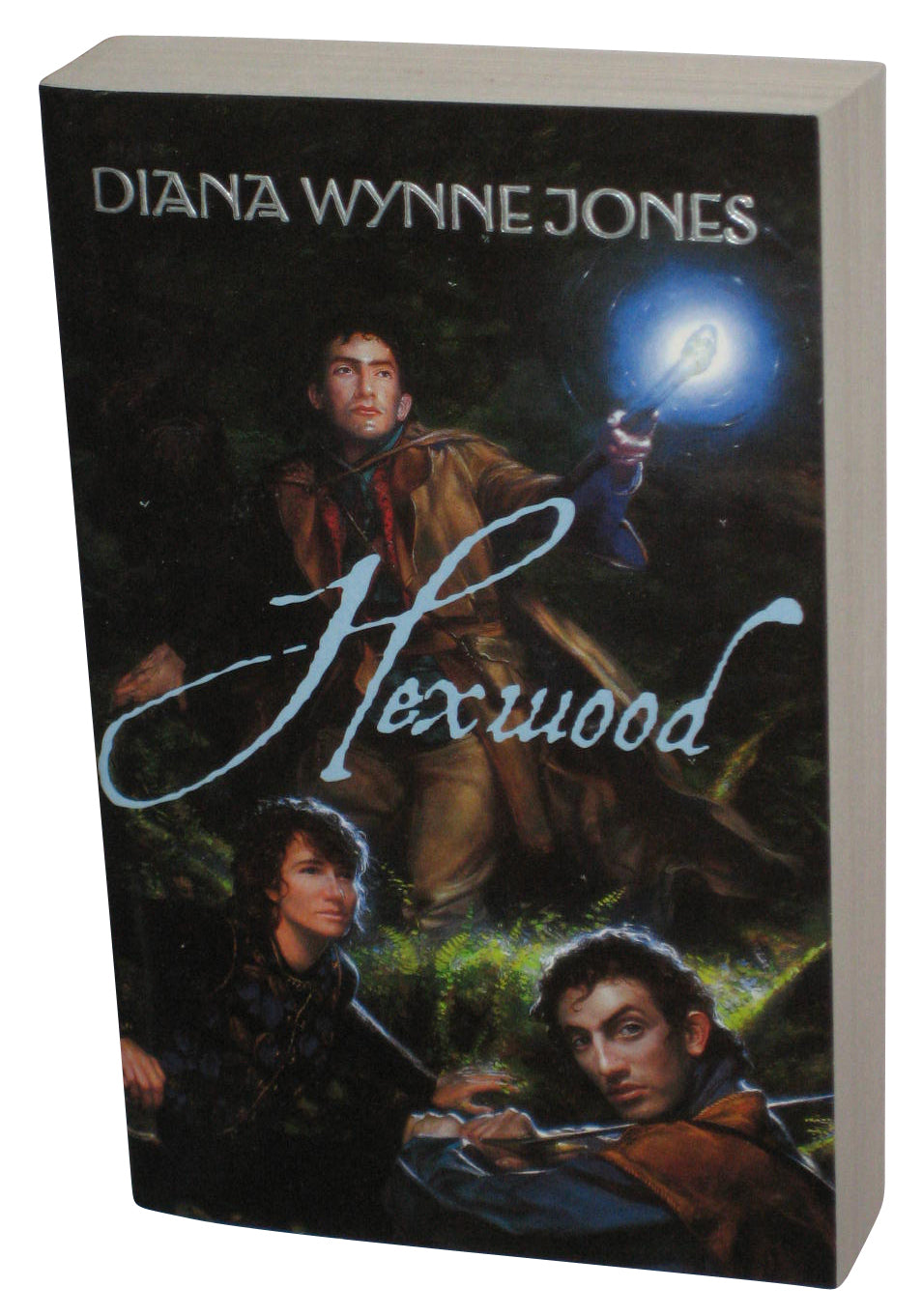Hexwood (2002) Paperback Book - (Diana Wynne Jones)