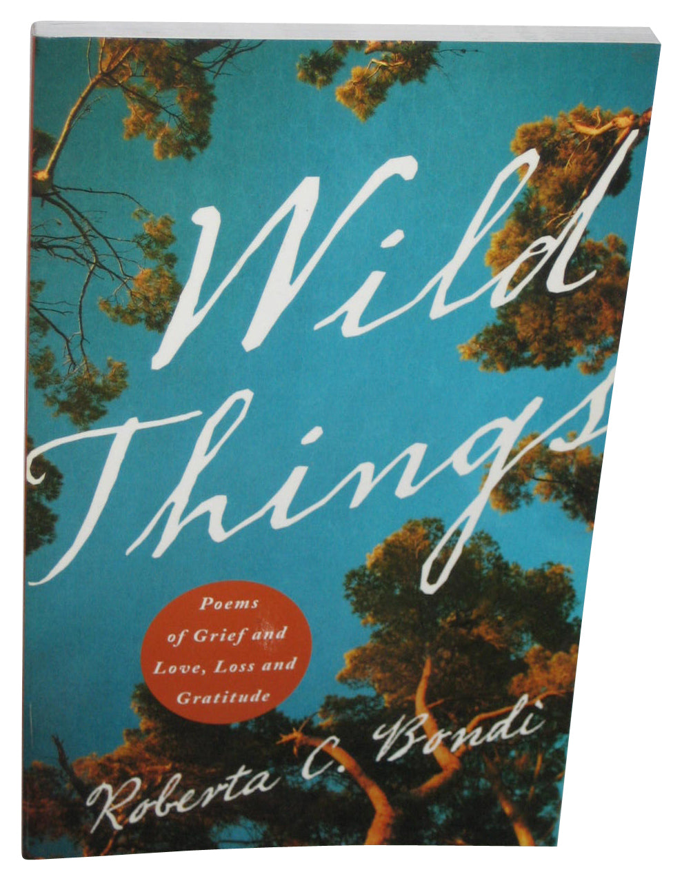 Wild Things Poems of Grief And Love Loss & Gratitude (2014) Paperback Book