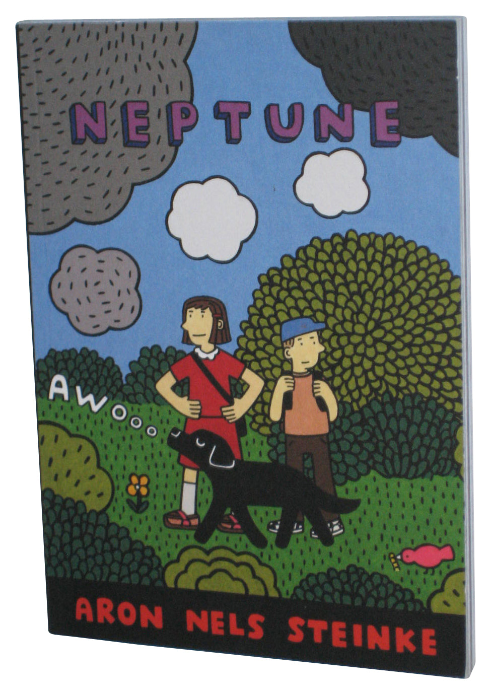 Neptune (2009) Paperback Book - (Aron Nels Steinke)