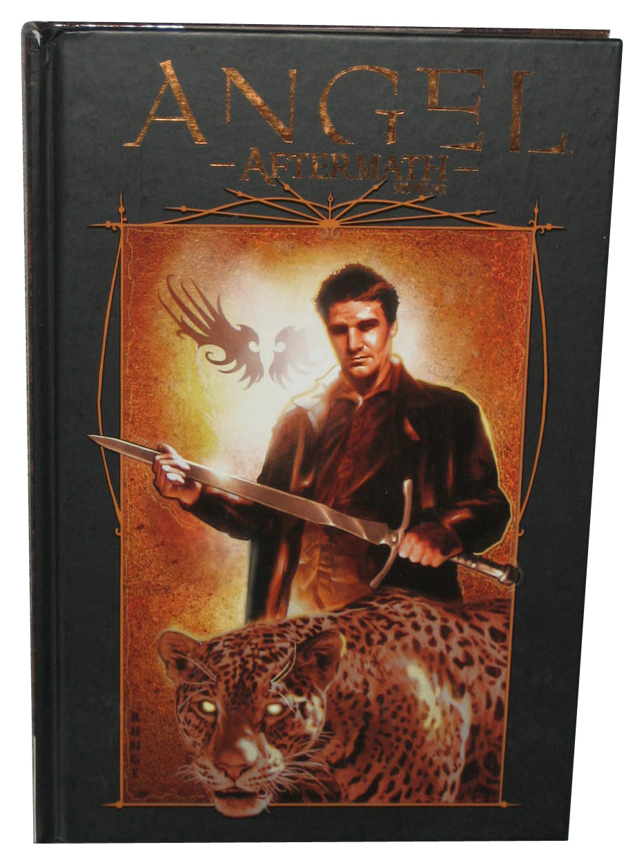 Angel Aftermath (2009) IDW Hardcover Book