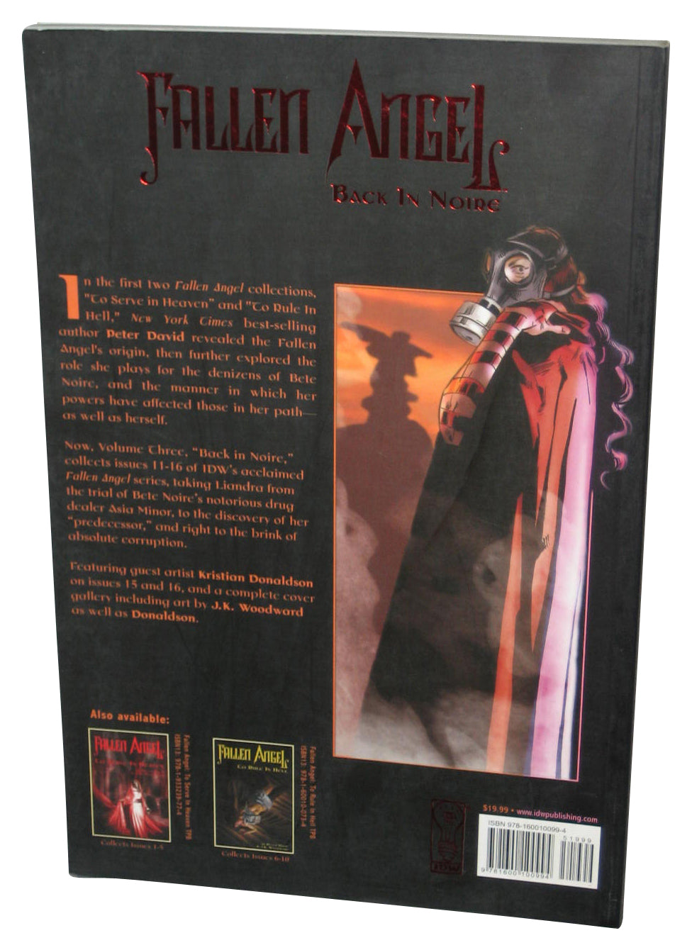 Fallen Angel Vol. 3 Back In Noire (2007) IDW Paperback Book