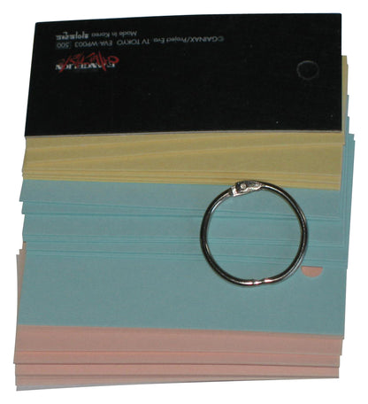 Neon Genesis Evangelion U.N. Nerv Original Logo Gainax Note Cards Pad Keychain