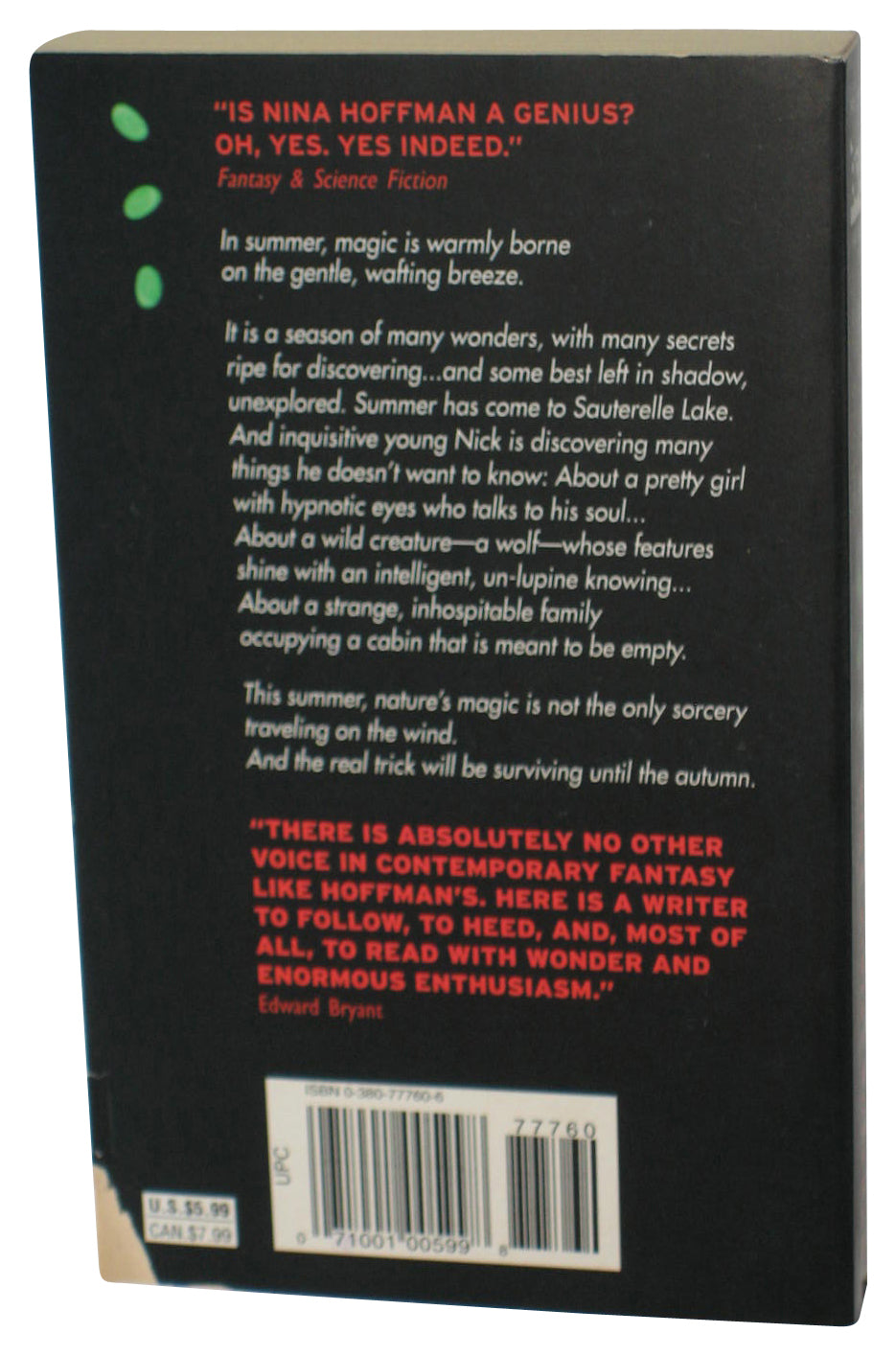 The Silent Strength of Stones (1995) Paperback Book - (Nina Kiriki Hoffman)