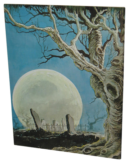 The Spirit Kitchen Sink Comix Will Eisner (1979) Magazine Book #21