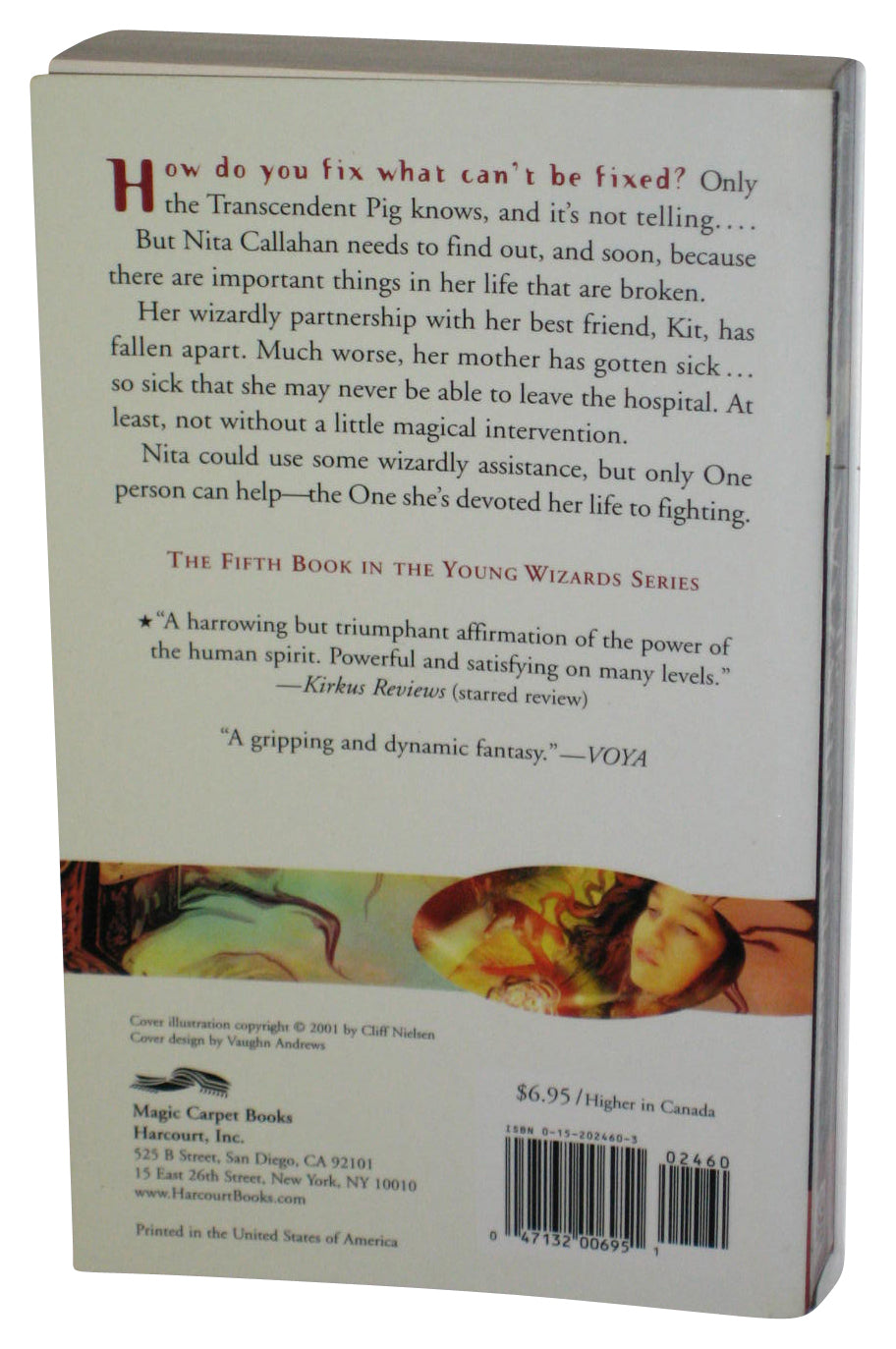 The Wizard's Dilemma Young Wizard's Series (2002) Paperback Book