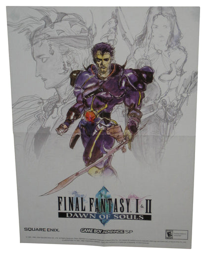 Final Fantasy I & II Dawn of Souls Nintendo Gameboy Advance SP Video Game Poster