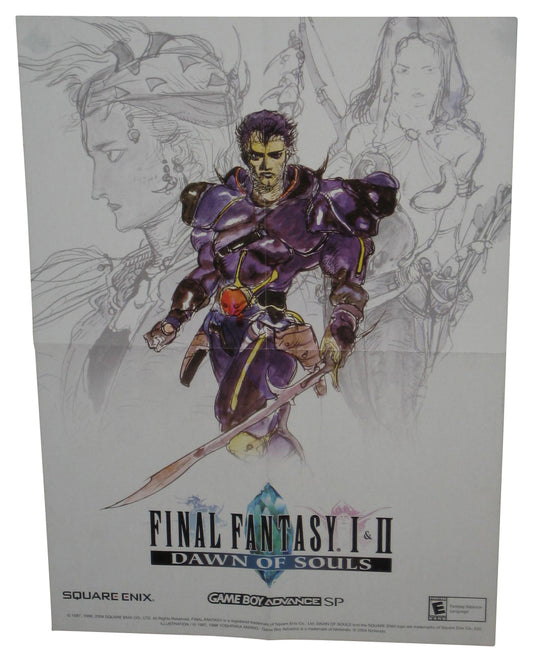 Final Fantasy I & II Dawn of Souls Nintendo Gameboy Advance SP Video Game Poster