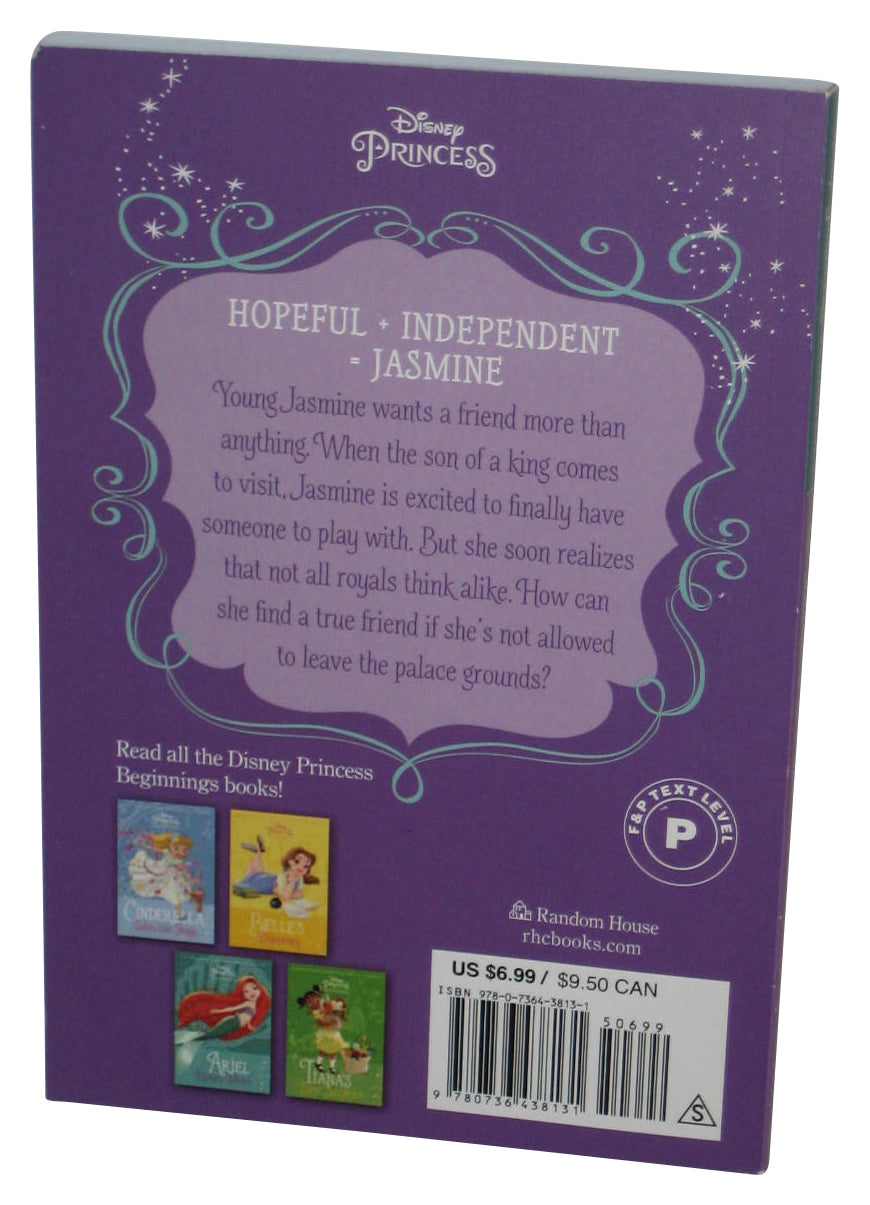 Disney Princess Beginning's Aladdin Jasmine's New Rules (2019) Paperback Book