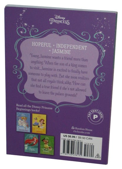 Disney Princess Beginning's Aladdin Jasmine's New Rules (2019) Paperback Book