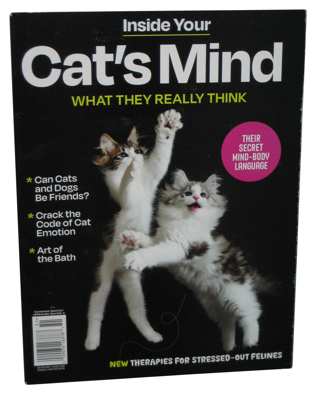 Inside Your Cat's Mind What They Really Think (2025) Magazine Book