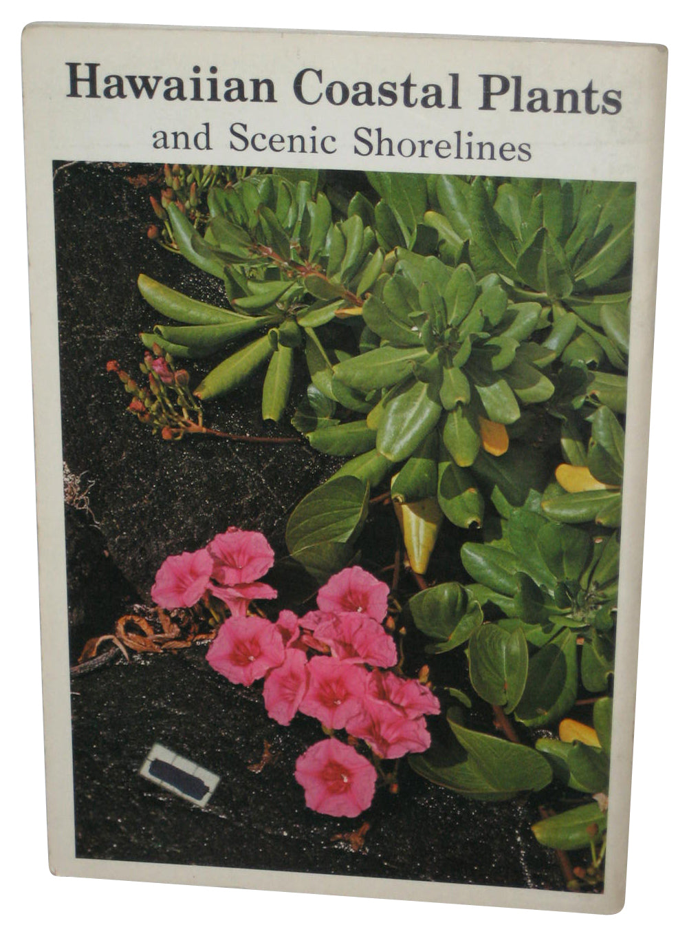 Hawaiian Coastla Plants And Scenic Shorelines (1980) Paperback Book