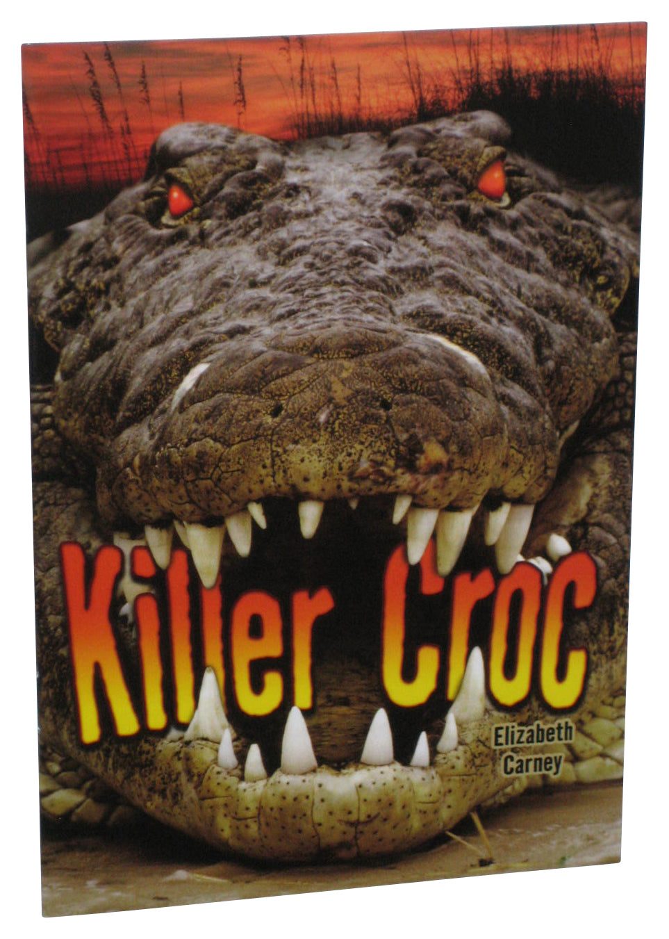 Killer Croc (2009) Houghton Mifflin Paperback Book - (Elizabeth Carney)