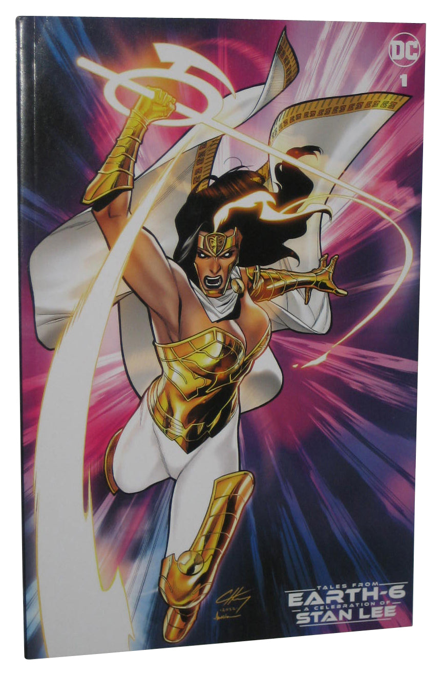 DC Comics Tales From Earth-6 A Celebration of Stan Lee Paperback Book