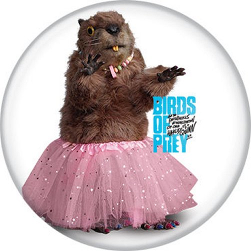 Birds of Prey Harley Quinn Gopher In Tutu Licensed 1.25 Inch Button 87885