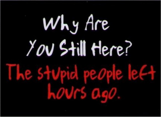 Why Are You Still Here Stupid Left Magnet DM2113