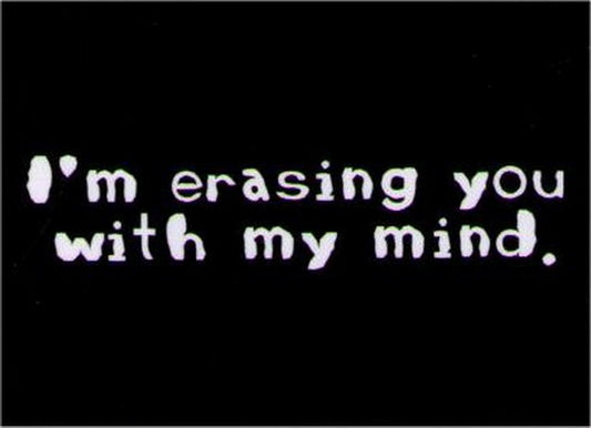 I'm Erasing You With My Mind Magnet DM2212