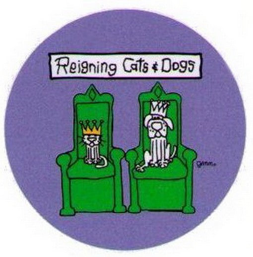 Reigning Cats and Dogs Grimm Button GB3014
