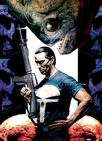 Marvel Comics The Punisher (2004) GE Animation Cloth Wall Scroll Poster GE-9512