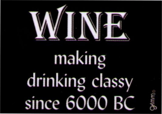 Wine Making Drinking Classy Since 6000BC Magnet GM5003