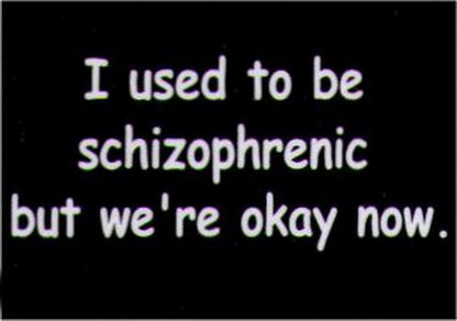 I Used To Be Schizophrenic But We're Okay Now Magnet HM239