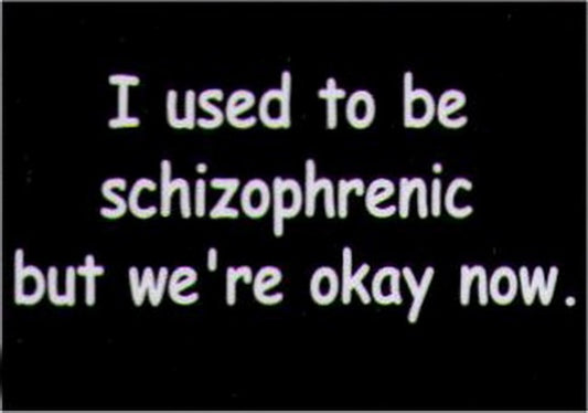 I Used To Be Schizophrenic But We're Okay Now Magnet HM239