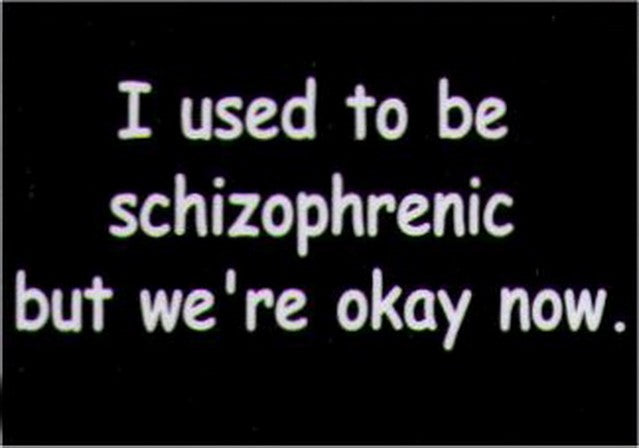 I Used To Be Schizophrenic But We're Okay Now Magnet HM239