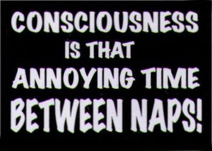 Consciousness Thing Between Naps Magnet HM251