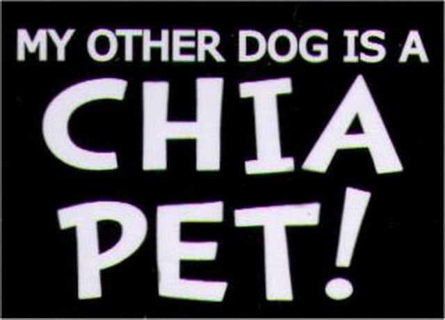 My Other Dog Is A Chia Pet Humor Magnet HM270