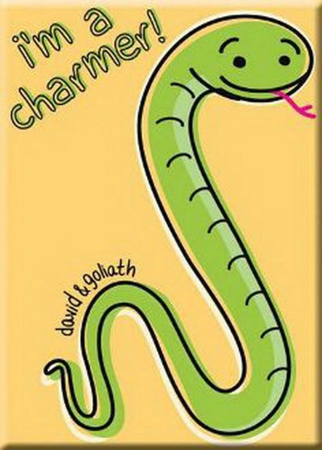 David and Goliath I'm A Charmer Magnet 26883DG