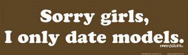 David and Goliath Sorry Only Date Models Bumper Sticker 45078S