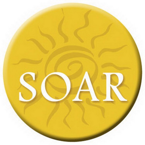 Inspirational Soar Button 81370