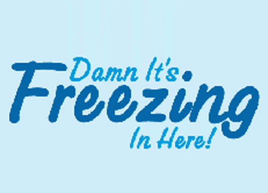 Damn Its Freezing In Here Magnet RM2386