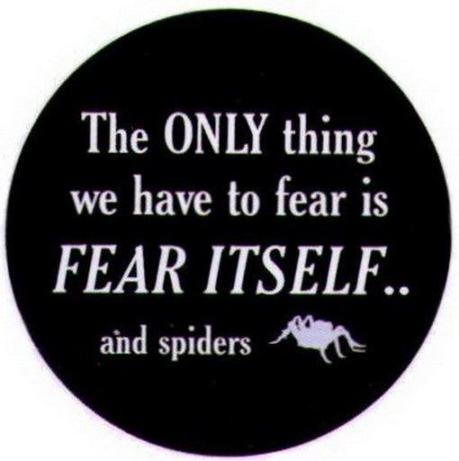 Only Thing To Fear Itself Spiders Button SB3969