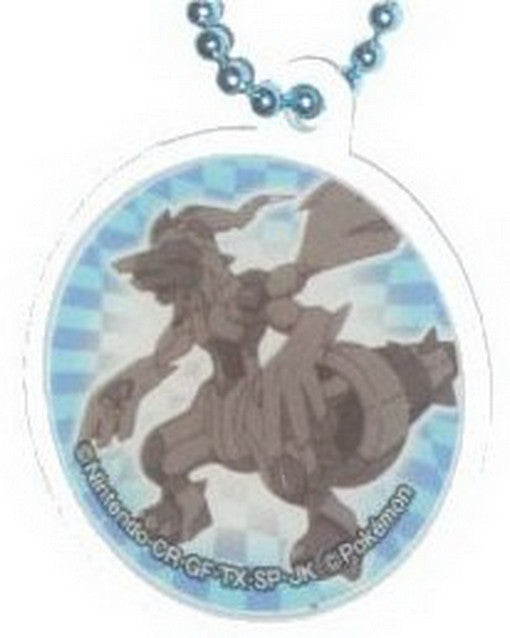 Pokemon Zekrom Character Pokeball Metal Keychain