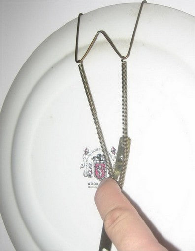 Wood & Sons Burslem England Country Plate